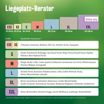 4a546545ad2c4ea1eec95af4e898677e85afa387_eceaaa162310623982c3a40af5df31a609763365 MORE Liegeplatz Ortho L
