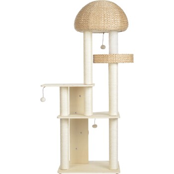 more Lifestyle lifestyle Kratzbaum Albertus