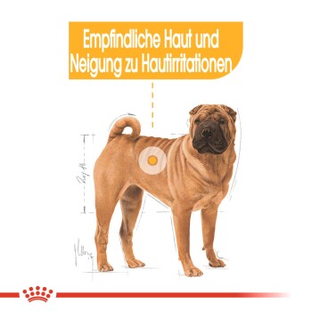 ec94af1c8e003f2d52f54ef7d4a77a3e94a1b0be_1761064__4_ ROYAL CANIN Dermacomfort Medium 2x12 kg