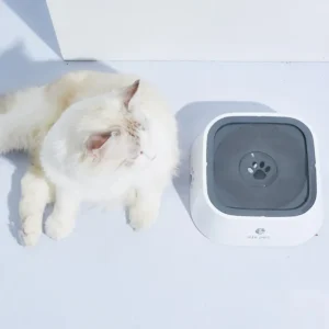 Eine weiße Katze liegt neben einem Trinkwasser Napf.